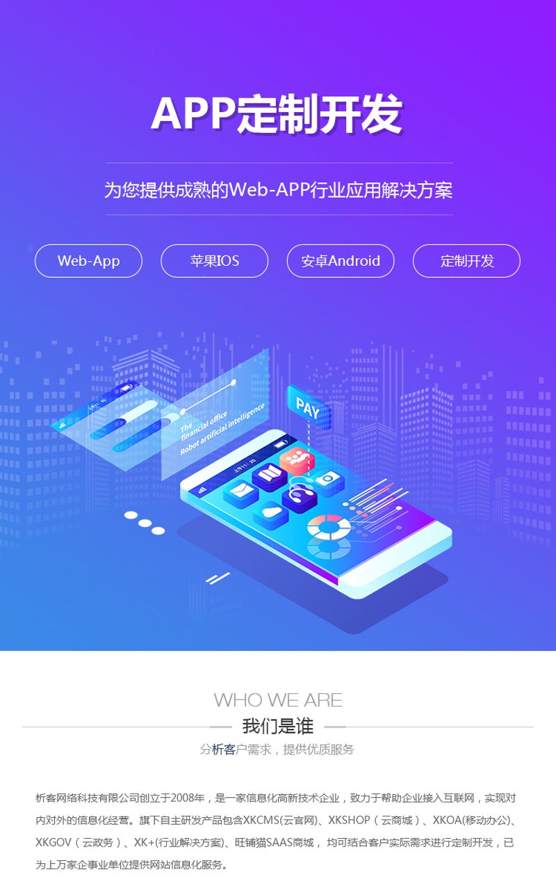 在当今数字化时代，企业面临着如何高效地进行软件系统开发的挑战。本文通过对比分析不同开发模式的优势与劣势，并结合具体案例，帮助读者更好地理解并选择适合自己的开发方式。
